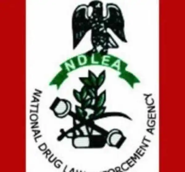 NDLEA Arrests Journalist And 5 Other Suspected Drug Traffickers At Lagos Airport